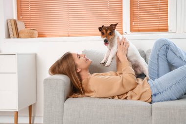 Evdeki gri koltukta Jack Russel teriyeri olan genç bir kadın yatıyor.