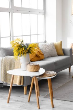 Mimoza çiçekli vazo ve sepet açık oturma odasında.