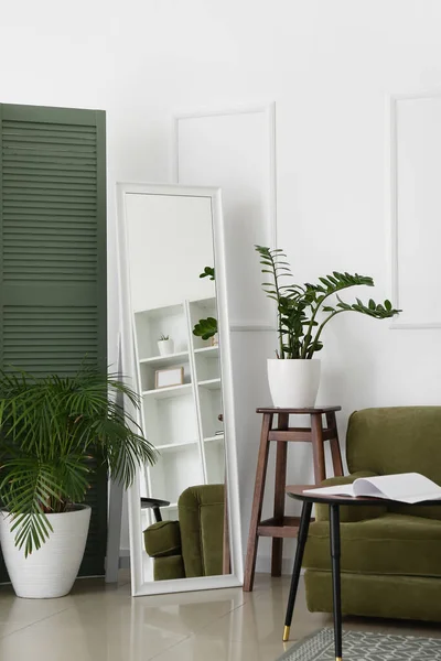 Houseplants Mirror Stylish Living Room Interior — Stock Photo, Image