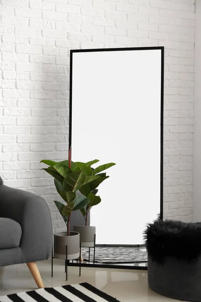Mirror Houseplant Stylish Living Room — Stock Photo, Image