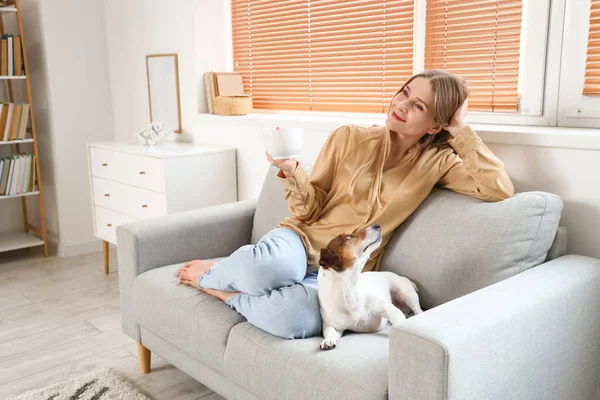 Young Woman Cup Tea Jack Russel Terrier Sitting Grey Sofa — Stock Photo, Image