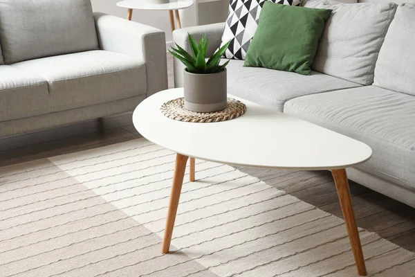 Coffee Table Houseplant Light Living Room — Stock Photo, Image