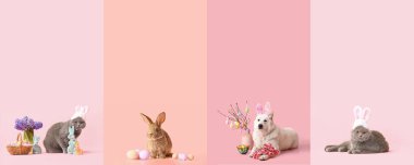 Renkli arka planda Paskalya yumurtası ve dekoru olan bir grup farklı hayvan.