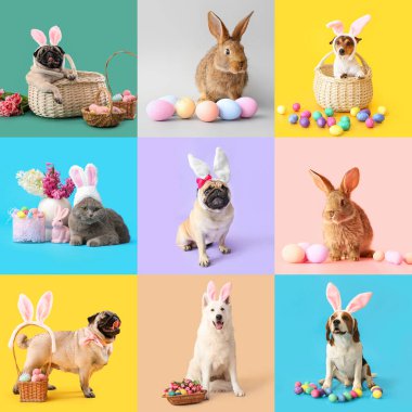 Renkli arka planda Paskalya yumurtası ve dekoru olan bir grup farklı hayvan.