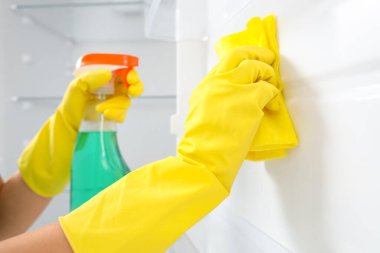 Mutfakta buzdolabını temizleyen genç kadın, yakın plan.