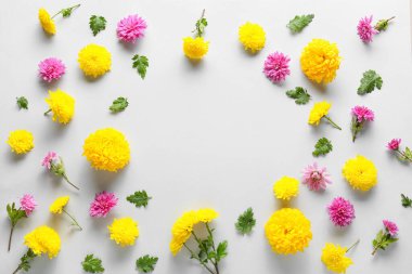 Beyaz arkaplanda farklı kasımpatı çiçeklerinden yapılmış çerçeve