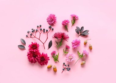 Kasımpatı, meşe palamudu ve böğürtlenli kompozisyon pembe arka planda