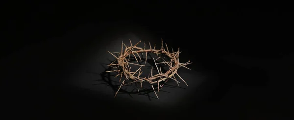 Crown Thorns Black Background — Stock Photo, Image