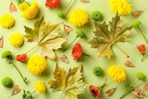 Άνθη Χρυσάνθεμα Φύλλα Σφενδάμου Και Σπόροι Πράσινο Φόντο — Φωτογραφία Αρχείου