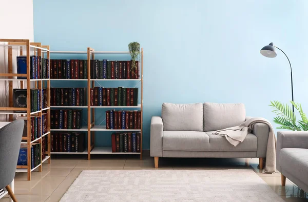 Rahat kanepe, lamba ve kitaplarla dolu raf ünitesi.
