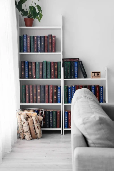 Bookcase Sofa Modern Interior Room — Stock Photo, Image