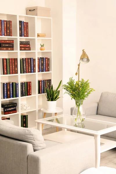 Bookcase Modern Interior Room — Stock Photo, Image