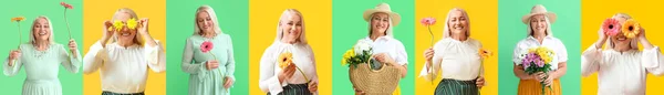 Conjunto Bela Mulher Madura Com Flores Fundo Colorido Olá Primavera — Fotografia de Stock