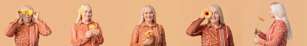 Set Van Mooie Volwassen Vrouw Met Bloemen Beige Achtergrond Hallo — Stockfoto