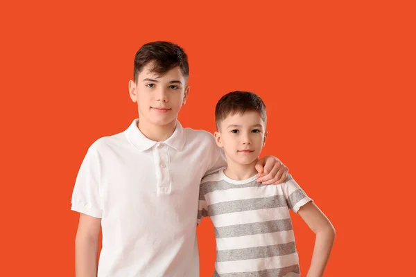 Portrait Cute Brothers Color Background — Stock Photo, Image