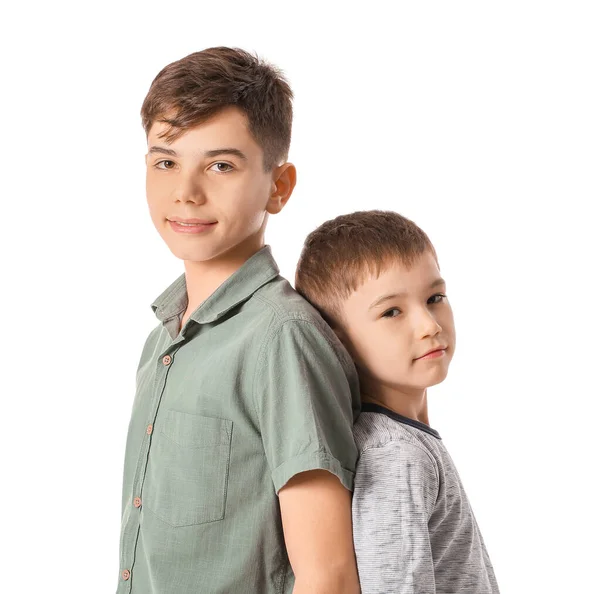 Portrait Cute Brothers White Background — Stock Photo, Image