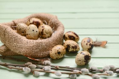 Sack with fresh quail eggs and pussy willow branches on green wooden background
