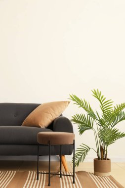 Beyaz duvarın yanında şık bir kanepe, puf ve çiçek.