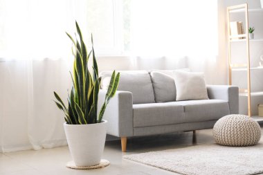 Oturma odasındaki pencerenin yanında rahat bir kanepe.