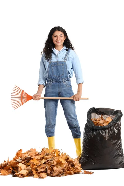 Vrouw Verzamelen Herfst Bladeren Witte Achtergrond — Stockfoto