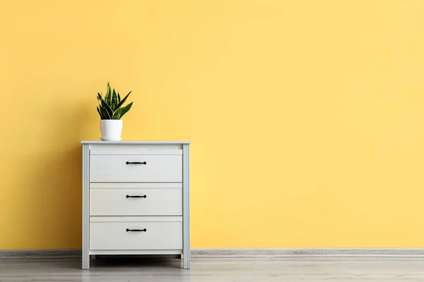 Cómoda Moderna Con Planta Interior Cerca Pared Amarilla —  Fotos de Stock