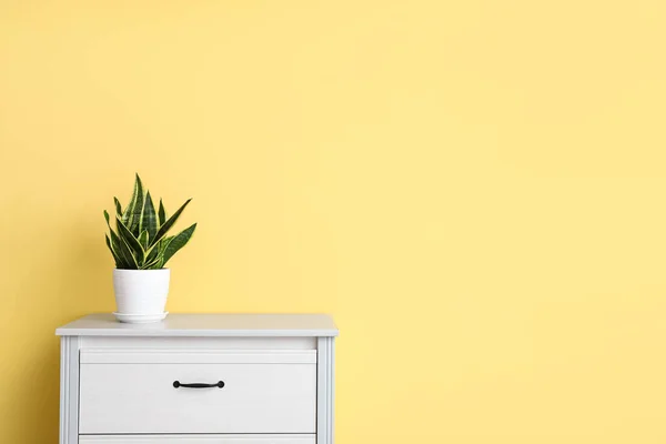 Modern Chest Drawers Houseplant Yellow Wall — Stock Photo, Image