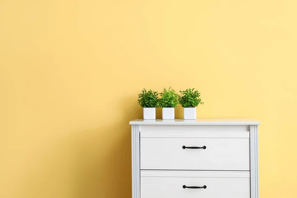 Beautiful Houseplants Chest Drawers Yellow Wall — Stock Photo, Image