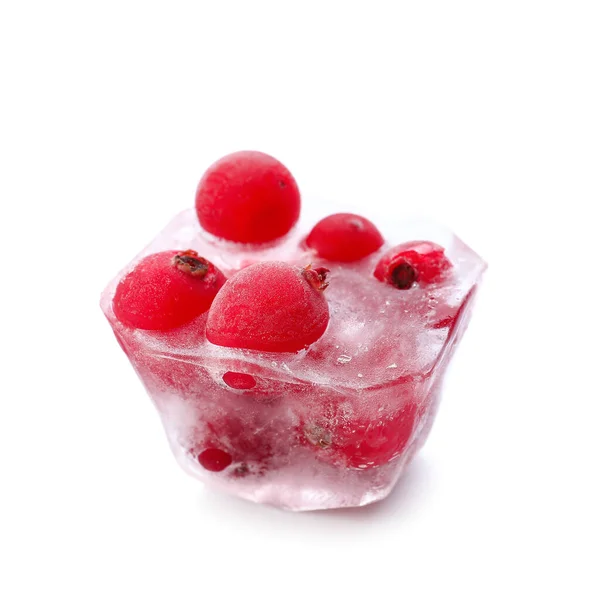 Verse Cranberry Bevroren Ijs Witte Achtergrond — Stockfoto