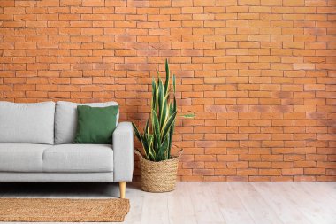 Yeni kanepe ve tuğla duvarın yanındaki çiçek.