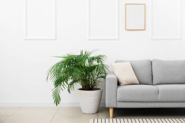 Beyaz duvarın yanında yeni kanepe ve çiçek var.