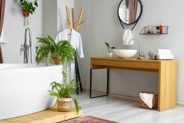 Interior Stylish Bathroom Beautiful Houseplants — Stock Photo, Image