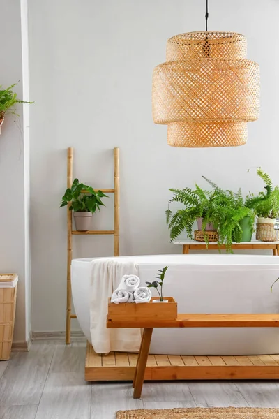 Box Clean Towels Bench Houseplants Bathroom — Stock Photo, Image
