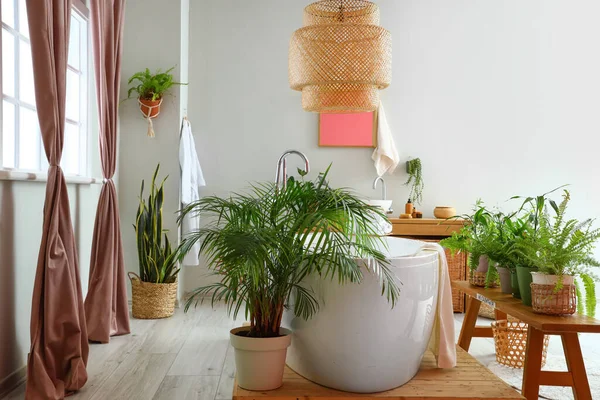 Intérieur Salle Bain Élégante Avec Belles Plantes Intérieur — Photo