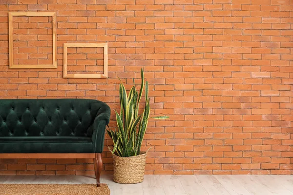 Neues Sofa Und Zimmerpflanze Nahe Ziegelmauer — Stockfoto