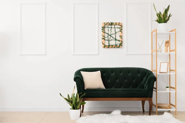 New Sofa Shelf Unit Houseplants White Wall — Stock Photo, Image