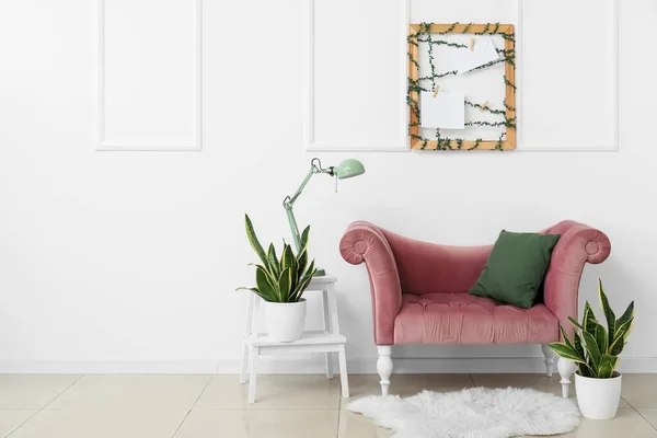 New Sofa Houseplants White Wall — Stock Photo, Image