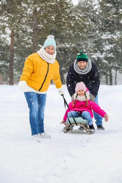 Menina Com Seus Avós Trenó Dia Inverno Nevado — Fotografia de Stock