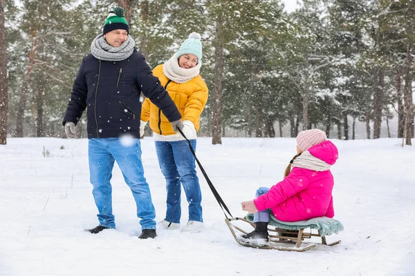 Little Girl Her Grandparents Sledging Snowy Winter Day — Stock Photo, Image