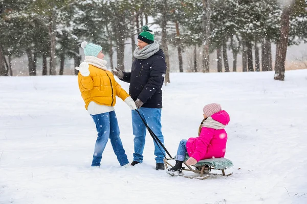 Little Girl Her Grandparents Sledging Snowy Winter Day — Stock Photo, Image