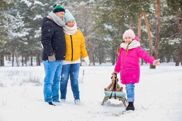 Menina Com Trenó Seus Avós Dia Inverno Nevado — Fotografia de Stock
