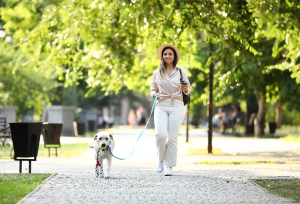 Woman Cute Labrador Walking Park Summer Day — Stock Photo, Image