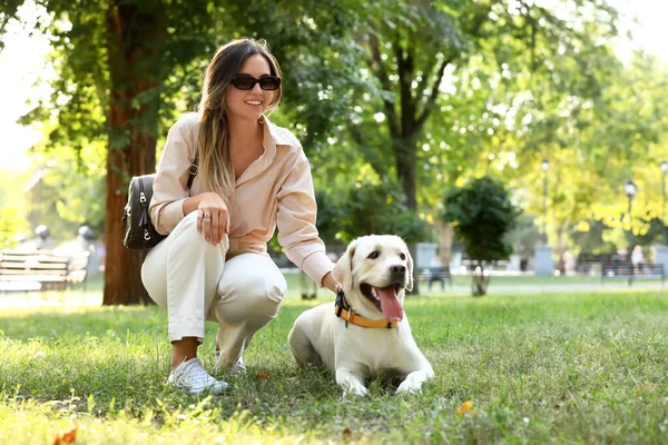 夏の日に公園でかわいいラブラドールと美しい女性 — ストック写真