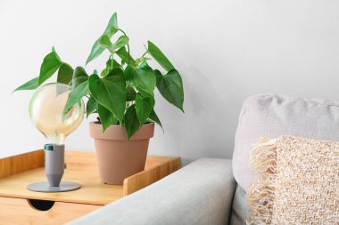 Beyaz duvarın yanındaki masada güzel bir çiçek ve lamba