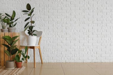 Beyaz tuğla duvarın yanında güzel bitkiler ve sandalye