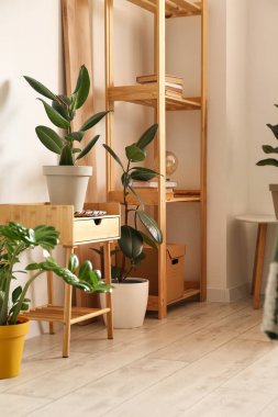 Beyaz duvarın yanında bitkileri olan şık bir raf ünitesi.