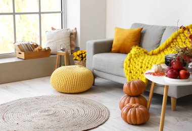 Rahat kanepe, puf ve balkabağı olan modern oturma odasının içinde.