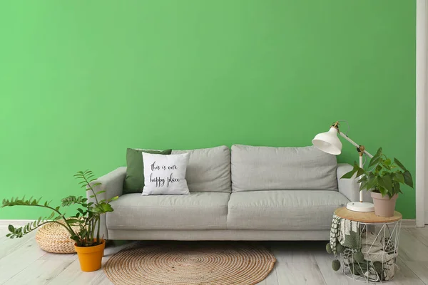Comfortable Sofa Houseplants Modern Lamp Green Wall — Stock Photo, Image