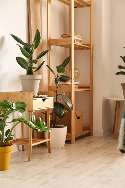 Beyaz duvarın yanında bitkileri olan şık bir raf ünitesi.