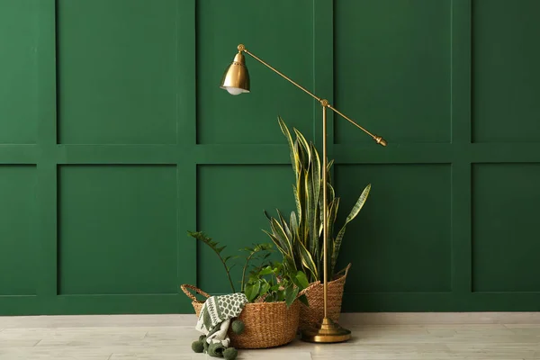 Körbe Mit Zimmerpflanzen Und Moderne Lampe Der Nähe Der Grünen — Stockfoto