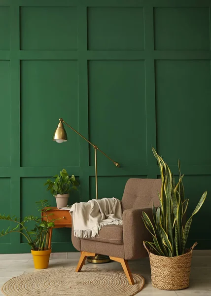 Удобное Кресло Комнатные Растения Современная Лампа Возле Зеленой Стены — стоковое фото